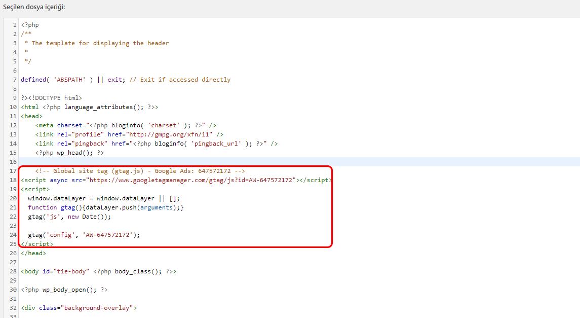 Script kod nasil eklenir